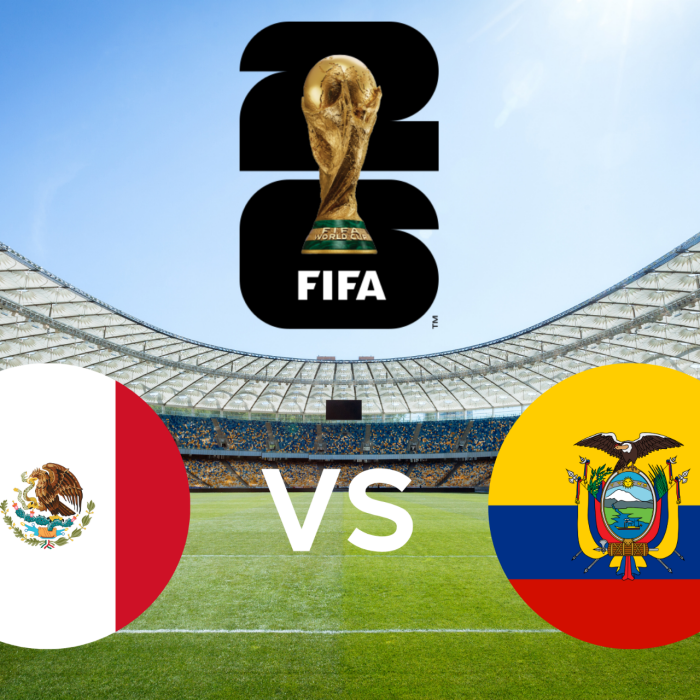 Fifa World Cup - Mexico vs Ecuador