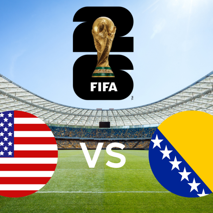 Fifa World Cup - USA vs Bosnia and Herzegovina