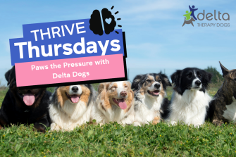 THRIVE Thursdays Paws the Pressure with Delta Dogs
