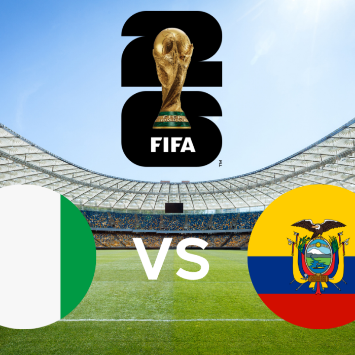 Fifa World Cup - Ivory Coast vs Ecuador
