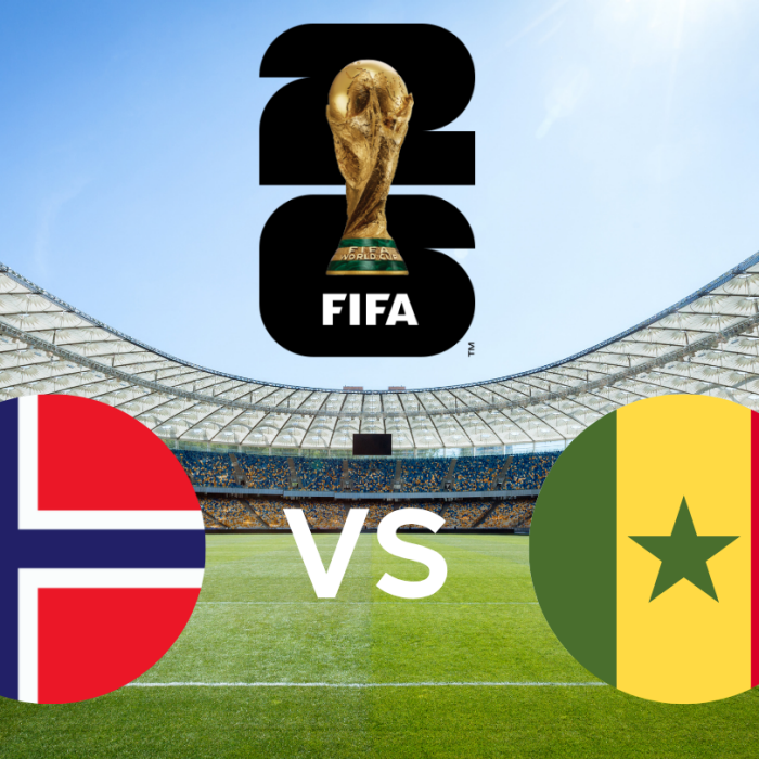Fifa World Cup - Norway vs Senegal