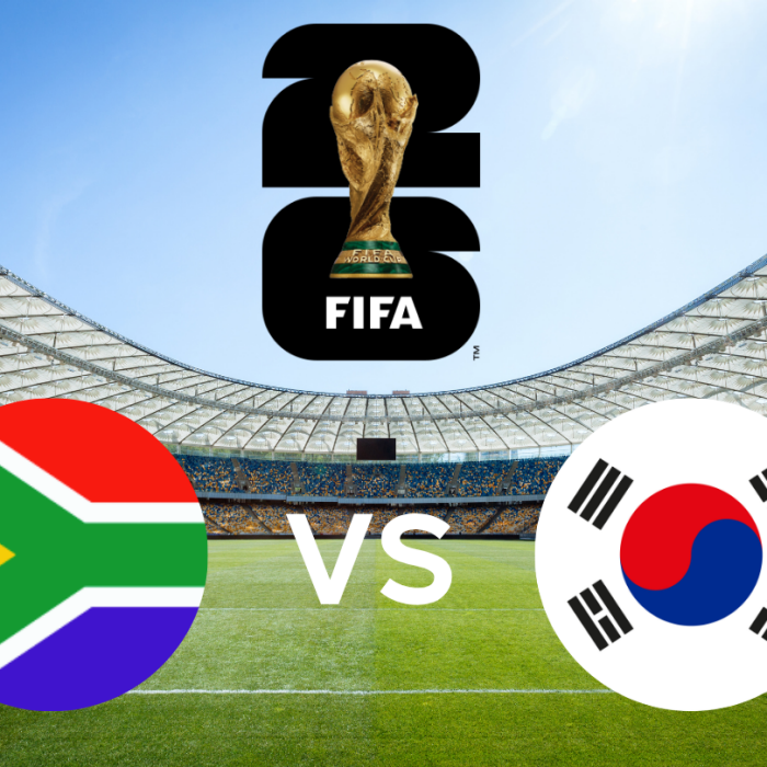 Fifa World Cup - South Africa vs South Korea