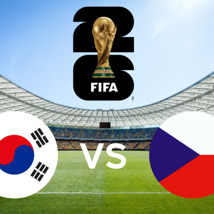 Fifa World Cup - South Korea vs Czech Republic