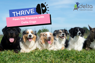 THRIVE Paws the Pressure with Delta Dogs