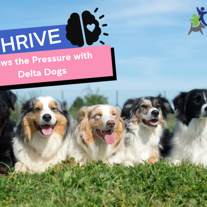 THRIVE Paws the Pressure with Delta Dogs