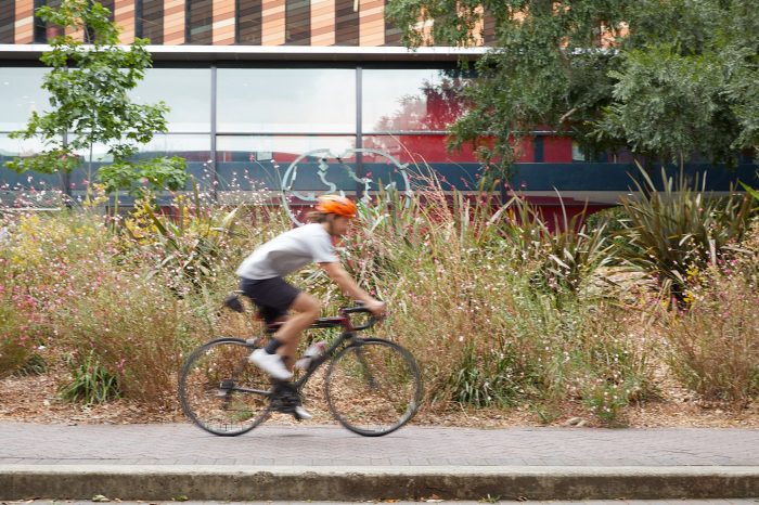 UNSW bike sheds